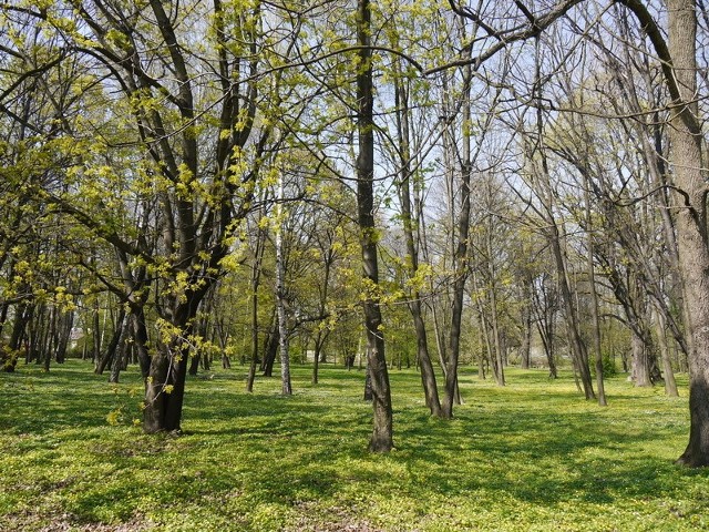 Park na Słocinie