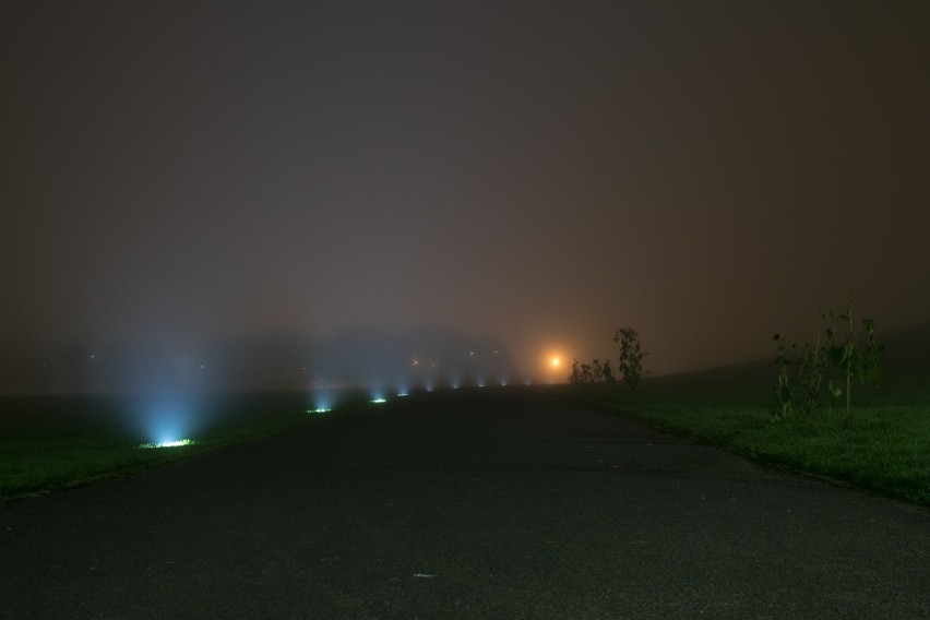 Stolica Opolszczyzny otulona mgłą jest piękna! Zobaczcie...