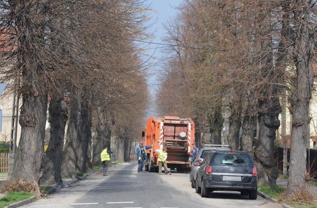 Stare lipy na ul. Konopnickiej mogłyby nie przetrzymać radykalnego cięcia