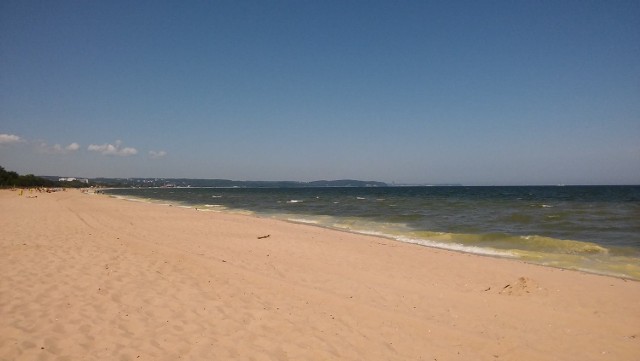 Żółty osad w morzu można było zauważyć m.in. na plaży w Gdańsku