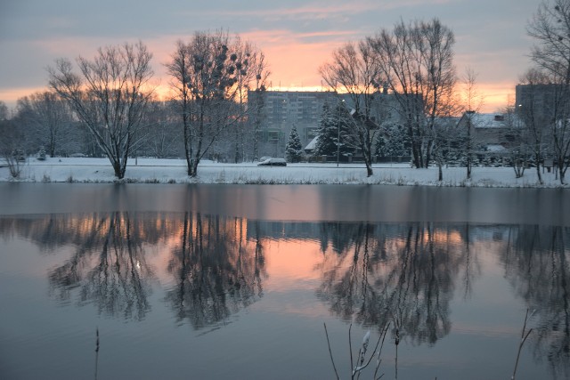 Poniedziałek, 6 marca 2023, zimowy poranek w parku Suble