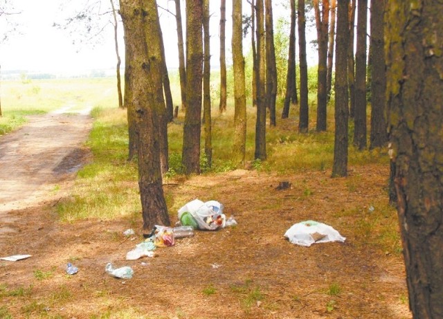 Las na terenie Bindugi jest zaśmiecony. A szkoda, mógłby być najchętniej odwiedzanym miejscem do wypoczynku w Łapach.