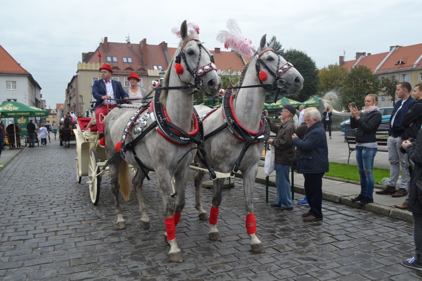 Na wodzisławskim rynku ruszył Oktoberfest.  Także w sobotę...