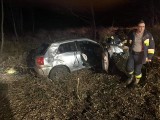 Poważny wypadek w Nietkowicach. Kobieta kierująca Audi uderzyła w drzewo. Jest w ciężkim stanie