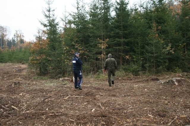 Bielscy policjanci wraz z przedstawicielami nadleśnictwa prowadzą działania mające na celu zwalczanie zjawiska kradzieży drzewa.