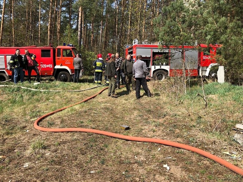 Powiat makowski: pożary lasów i traw. Palił się także tartak w Głażewie-Święszkach