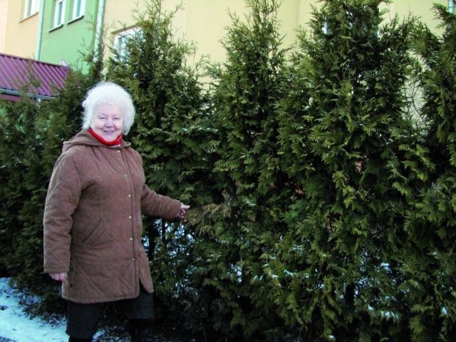 Na razie ładnie wyglądają tylko iglaki, ale na wiosnę wszystko rozkwitnie i będzie pięknie &#8211; przekonuje ełczanka Krystyna Podsiadły