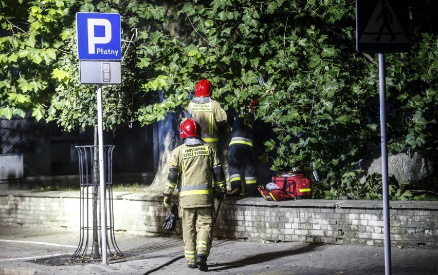 W pniu zabytkowego platana stojącego obok NFZ, na ul....