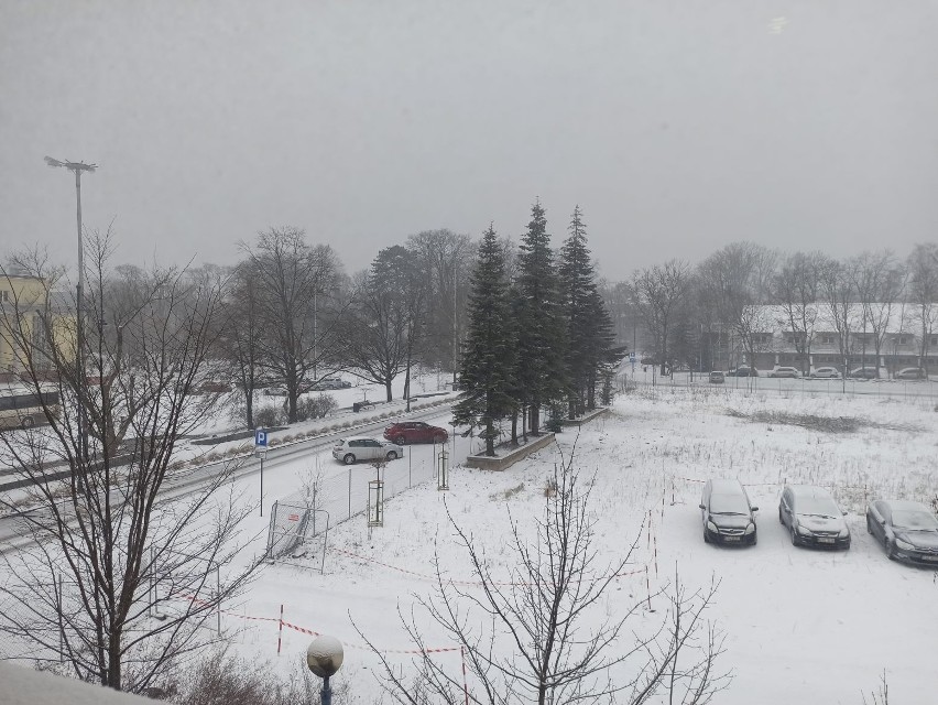 Zima wróciła. Czekają nas intensywne opady śniegu. Ostrzeżenie meteorologiczne IMGW. Jaka pogoda w Łodzi i woj. łódzkim? 