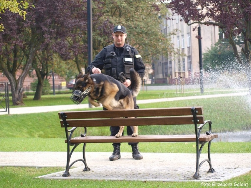 Policjant z Białogardu i pies Rambo z sukcesem [zdjęcia]