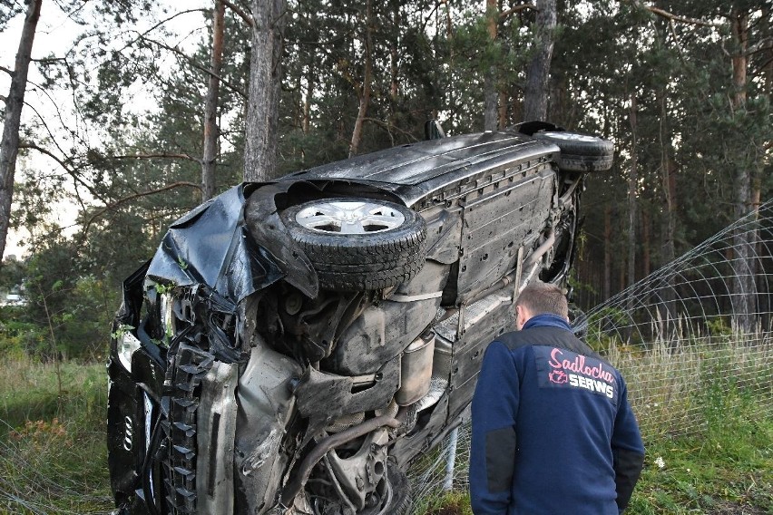 Wypadek w Cedzynie na drodze krajowe numer 74. Po "skoku" przez rondo audi wylądowało na drzewie [ZDJĘCIA]