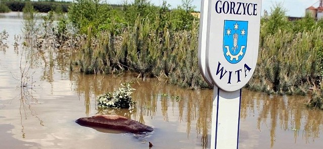 Wymowny widok pływającego utopionego konia w Sokolnikach, tuż obok tablicy "Gmina Gorzyce Wita&#8221;.