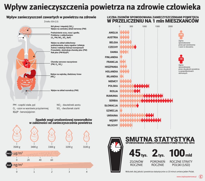 Tarnów. Czyste niebo [ZDJĘCIA, WIDEO]