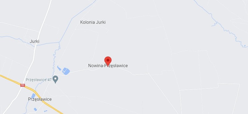 Nowina-Przęsławice – wieś w Polsce położona w województwie...