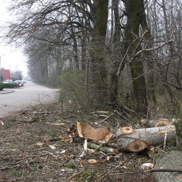 Ulica Fabryczna w Tarnobrzegu. Nieopodal tego miejsca, w lesie, znaleziono zwłoki 26-latka.