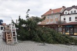 Niż Daniel w Kujawsko-Pomorskiem. Wichura łamie drzewa, zrywa blaszane garaże