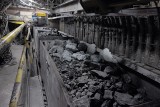 Bogdanka podsumowała rekordowy rok: „Wydajnością przewyższamy kopalnie śląskie”. Przychody na poziomie 2,3 mld zł