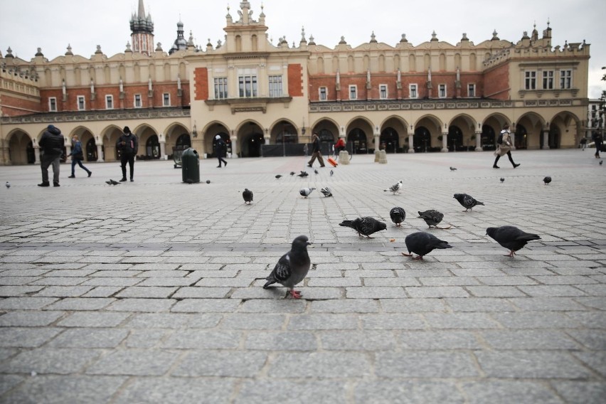 Kraków. Pandemia wygasza miasto. Turystyka upada. Straty mogą wynieść nawet 6 mld zł. Czy powiedzie się akcja ratunkowa? [ZDJĘCIA]