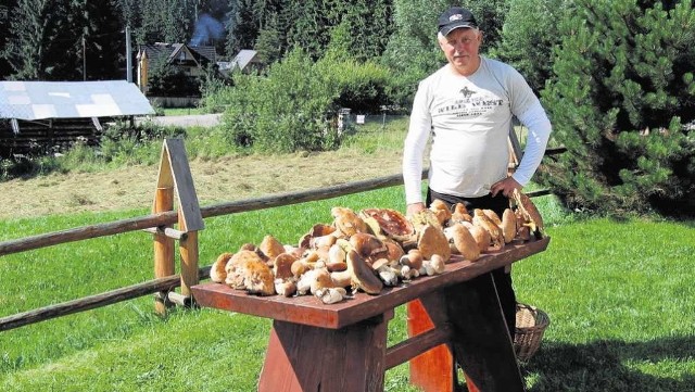 - Musi jeszcze trochę popadać, żebyśmy mieli wysyp grzybów - mówi Janusz Duda z Kościeliska