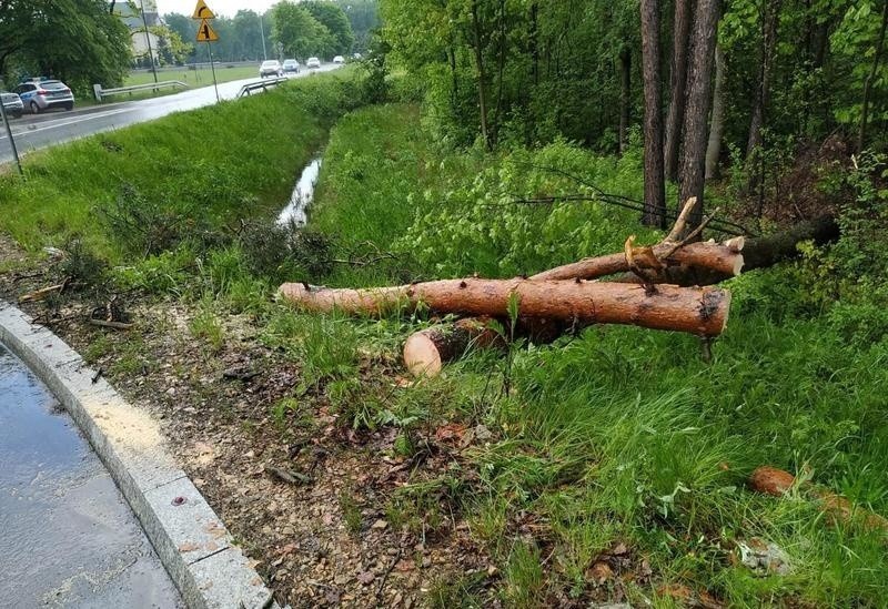 Podczas burzy drzewo zwaliło się na samochód w Bobrku na północnej obwodnicy Oświęcimia [ZDJĘCIA]