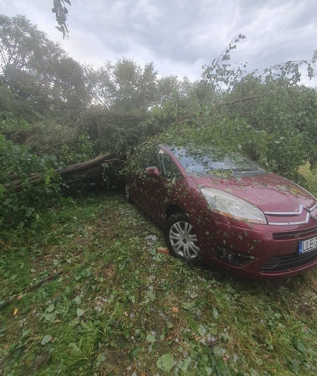 W sierpniu przez gminę Siemień (pow. parczewski) przeszła gwałtowna burza. W jej wyniku zniszczeniu uległo kilkadziesiąt budynków