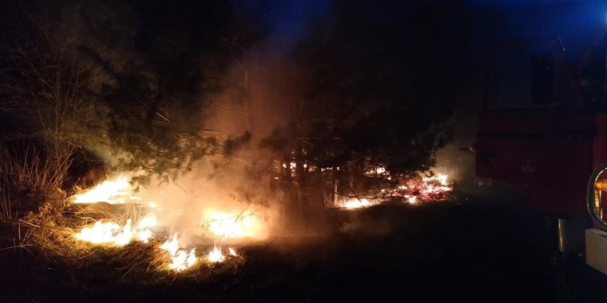 Płonęły trawy w Seceminie. Było groźnie... W sobotę wieczorem pożar w Psarach... (ZDJĘCIA)