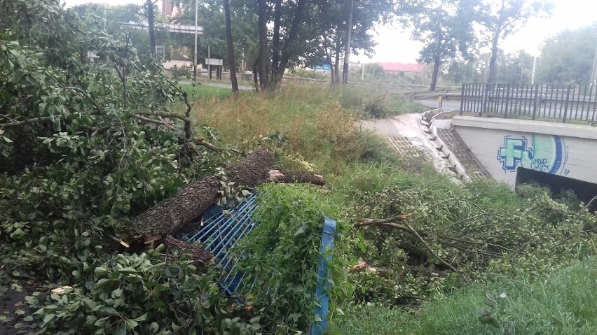 Wiatr łamał drzewa na Stawach Jana. Zablokowane ścieżki rowerowe i piesze [ZDJĘCIA]