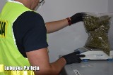 Kryminalni z Żar zabezpieczyli pół kilograma marihuany i metamfetaminę 