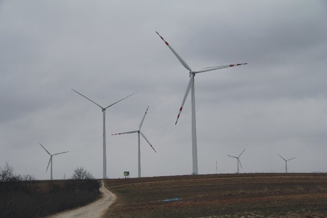 Przemyśl chce do specjalnej strefy ekonomicznej przyciągnąć firmy wytwarzające urządzenia do produkcji energii odnawialnej. Nz. turbiny wiatrowe pod Przemyślem.