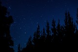 Noc spadających gwiazd czerwiec 2020. Niezwykłe zjawisko na niebie! Czy rój meteorów Czerwcowe Bootydy będzie widoczne w Polsce?