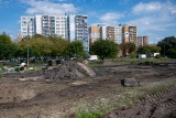 Wybieg dla psów na dawnym cmentarzu ewangelickim w Poznaniu. Zarząd Zieleni Miejskiej nie wiedział, co tam się znajdowało. Prace wstrzymano