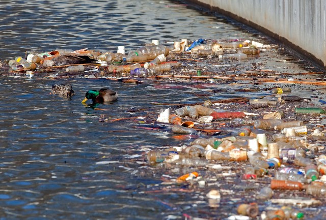 Niedługo utoniemy w śmieciach? Odpady wszelkiej maści zagracają wody, które zmieniają kolor z błękitu na zieleń.