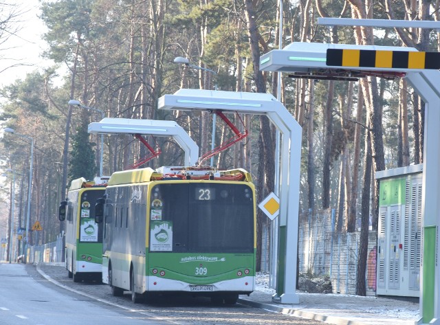 Przez bieg w centrum Zielonej Góry autobusy pojadą innymi trasami. I to już w tę sobotę, 9 listopada.