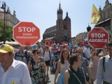 Marsz dla Życia i Rodziny w niedzielę przejdzie ulicami Krakowa. Towarzyszy mu hasło "Polsko! Walcz o swoje dzieci"