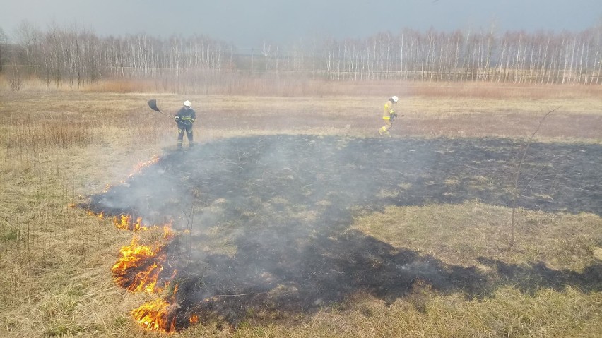W marcu w powiecie staszowskim strażacy zmagali się z aż 61...