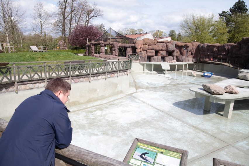 Basen dla uchatek w opolskim zoo po remoncie.