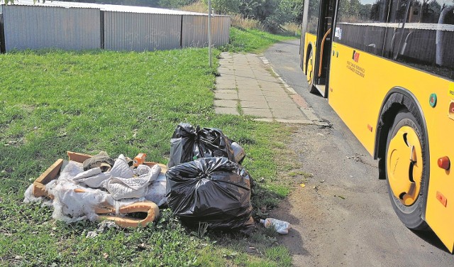 To składowisko zastaliśmy w połowie września, na przystanku autobusowym na końcu alei Żołnierza, przy zakładzie karnym. Kierowca autobusu twierdził, że śmieci wyrzucają tam głównie garażowicze