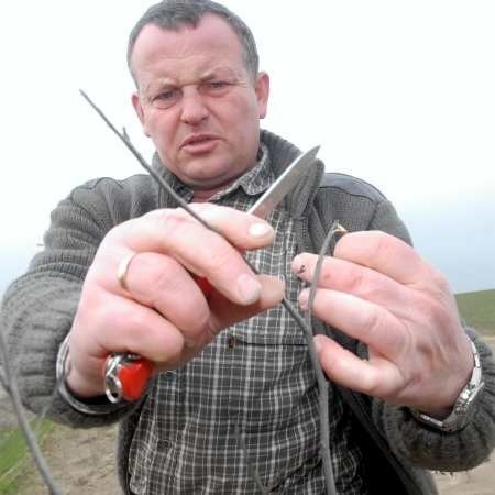 - Wiele nasadzeń to dziś wyschnięte patyczki. Nic z nich już nie będzie - mówi nasz specjalista Leszek Kułak.