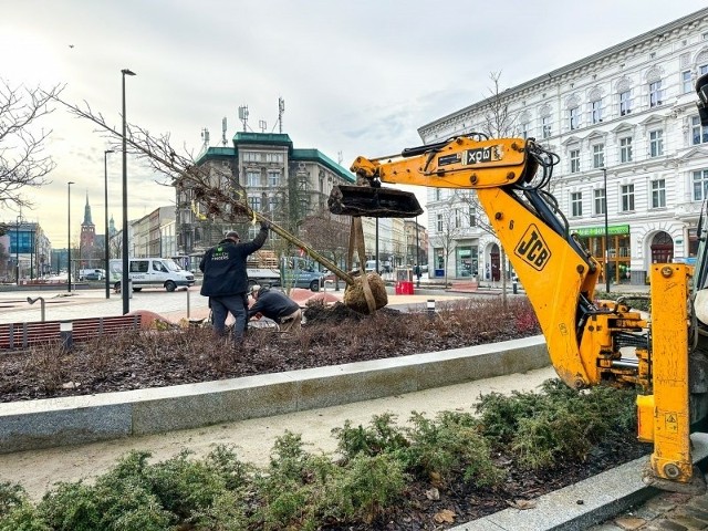 Najwięcej zieleni się pojawiło w okolicach placu Zgody.