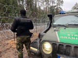50 osób próbowało nielegalnie przekroczyć granicę białorusko-polską