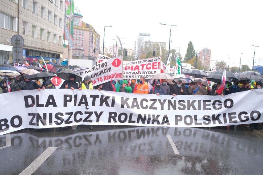 Protest rolników ZDJĘCIA 13.10. W Warszawie protestowano przeciwko "piątce dla zwierząt"