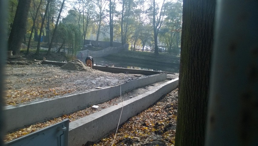 Trwa budowa tarasów w wodzisławskim Parku Miejskim