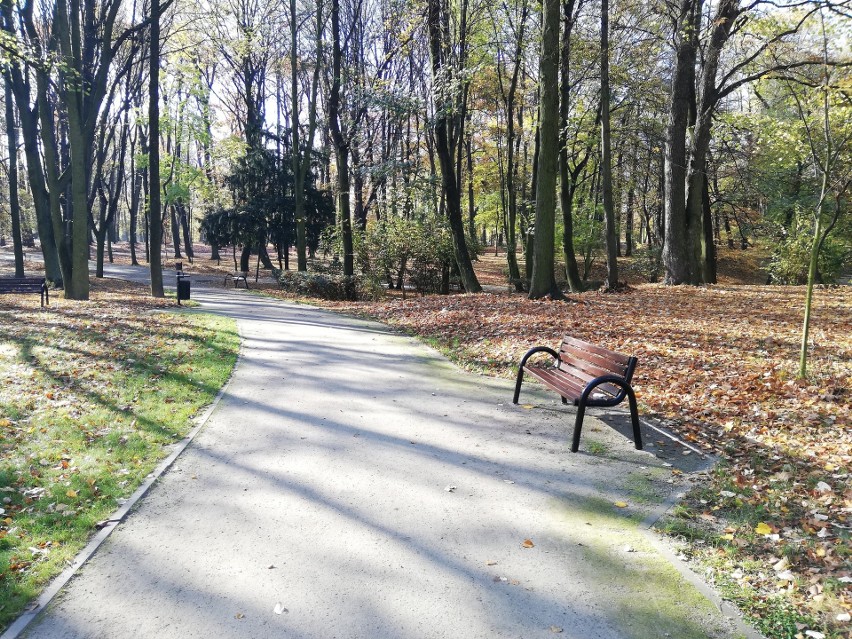 Park miejski w Bytomiu zachwyca jesienną porą. W taką pogodę...