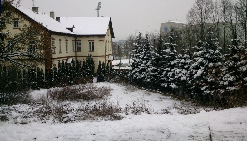 Nowy Sącz. Puchowy śniegu tren... okrywa szpetotę