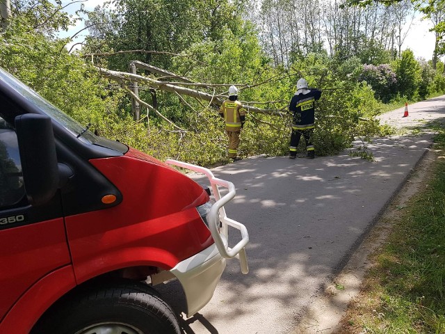 W sobotnie popołudnie druhowie z Baćkowic usuwali drzewo powalone przez wiatr na drogę w Piórkowie.