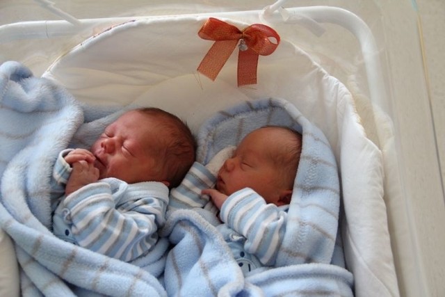 Adrian i Dominik Malcowie to bliźniacy, którzy urodzili się 16 stycznia. Adrian ważył 3020g i mierzył 51cm. Dominik 3040g, mierzył 53cm. W domu czeka na nich starszy brat Krystian, który ma już 5 lat