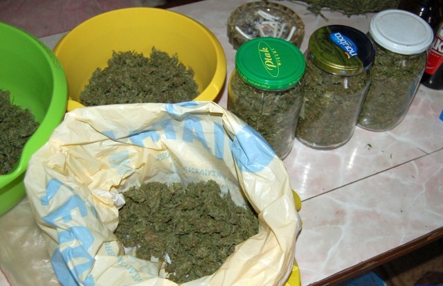 36-latek z Olecka miał w domu 3 kg marihuany