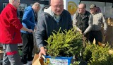 "Drzewko za surowce wtórne" w Kołobrzegu. Setki sadzonek trafiły w ręce mieszkańców.