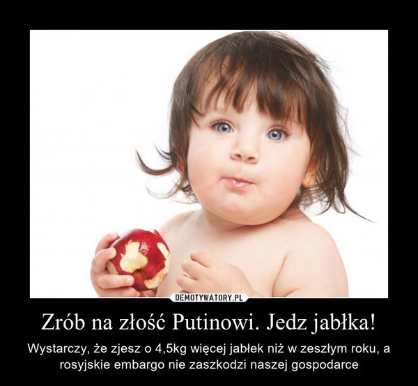 Rosyjskie embargo na polskie jabłka. Internauci komentują na Demotywatorach