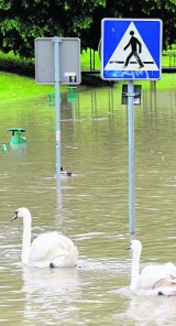 Powódź 2014 w woj. sląskim: Woda opadła, teraz czas na liczenie strat 